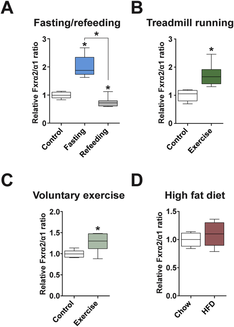 Figure 6