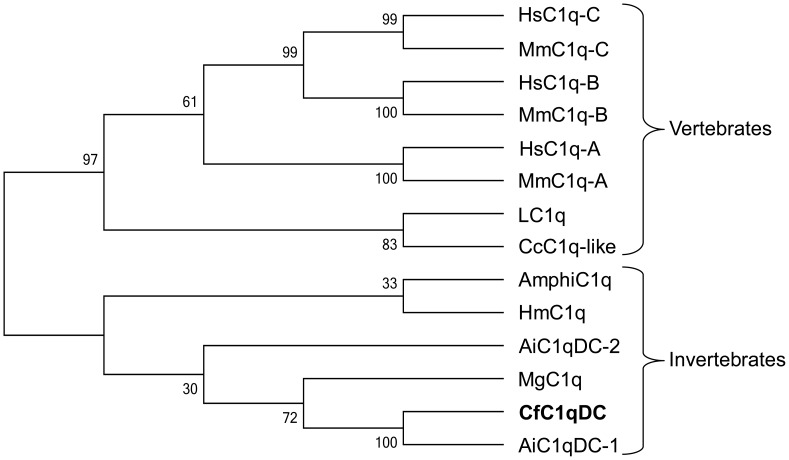 Figure 10