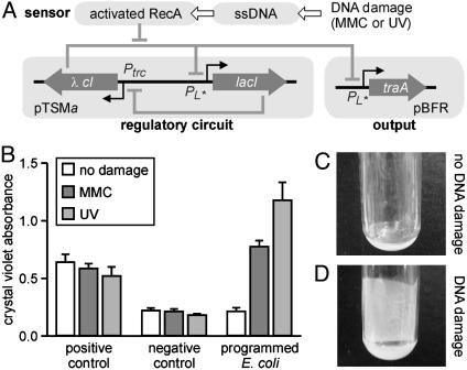 Fig. 4.