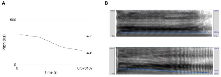 FIGURE 1