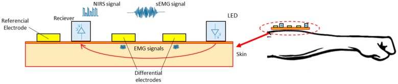 Figure 10