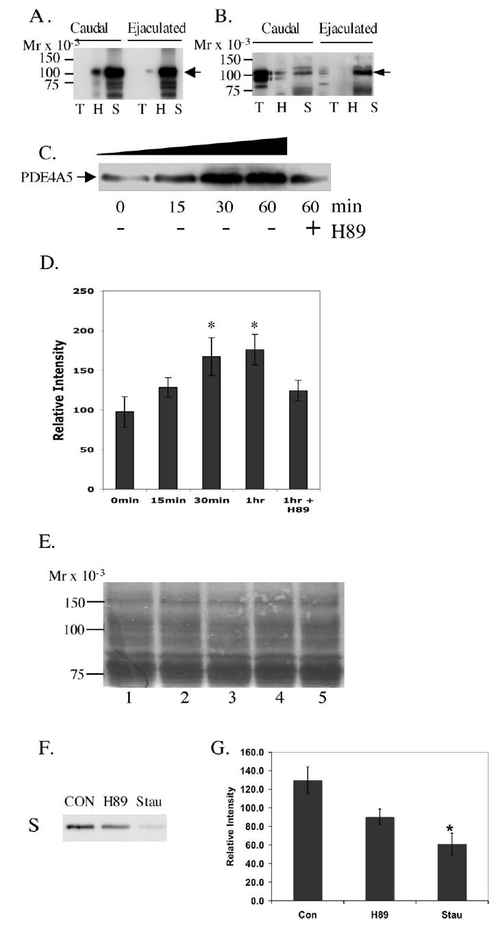 FIG. 8