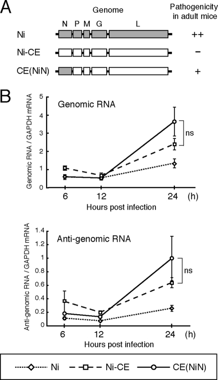 FIG. 1.