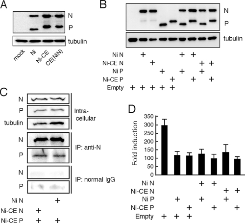 FIG. 7.