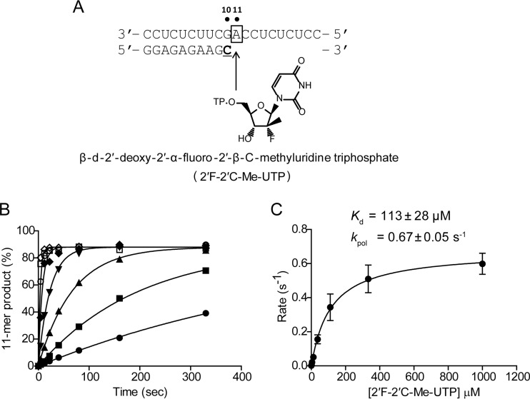 FIG 3