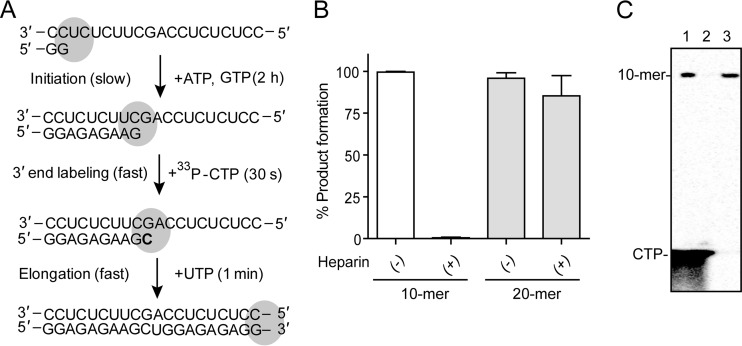 FIG 2