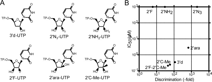 FIG 6