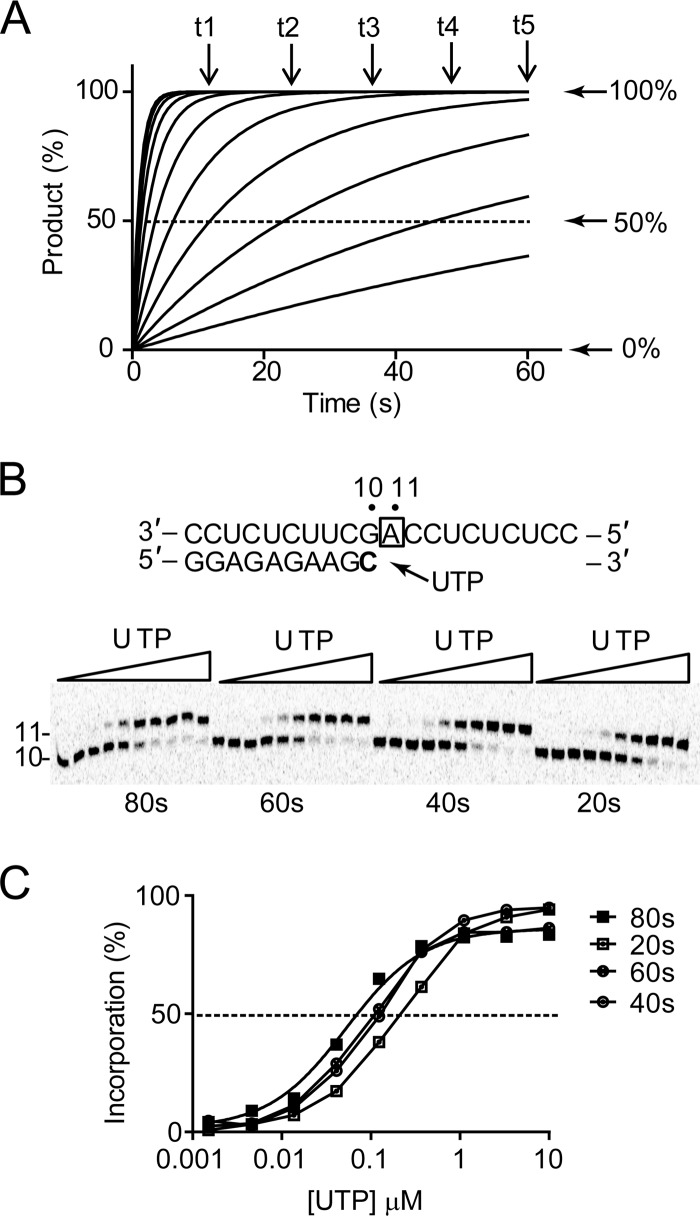 FIG 5