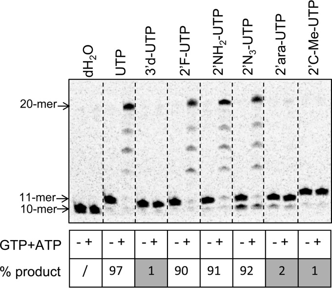 FIG 7