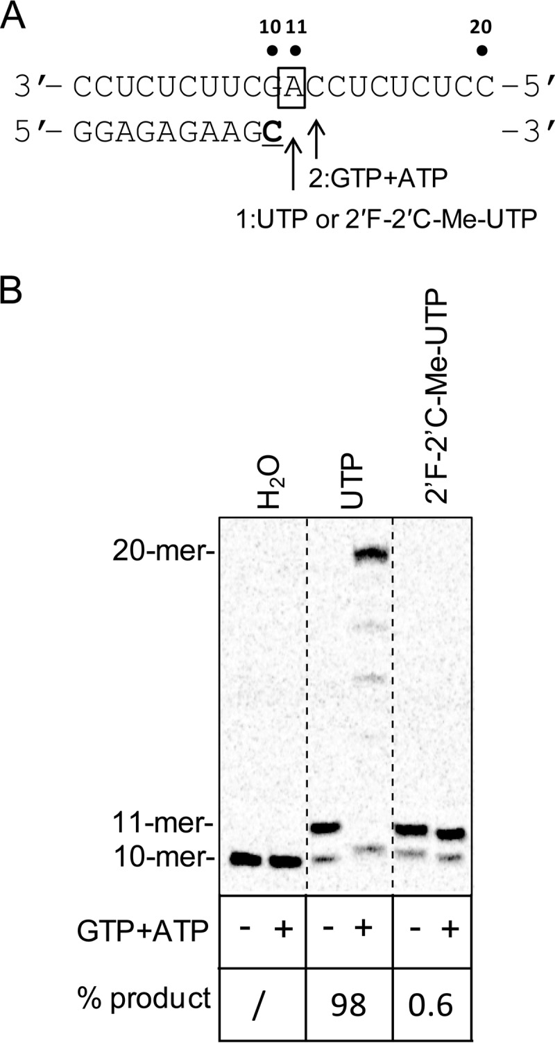 FIG 4