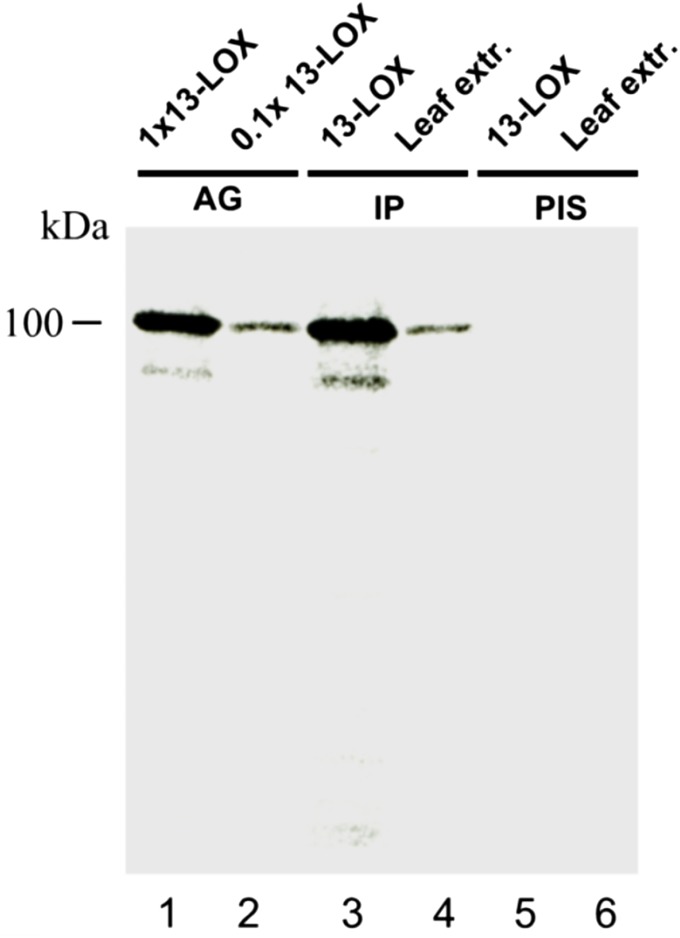 Fig. S3.