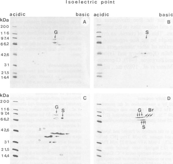 Fig. 10.