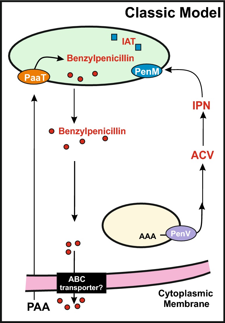 Fig. 2