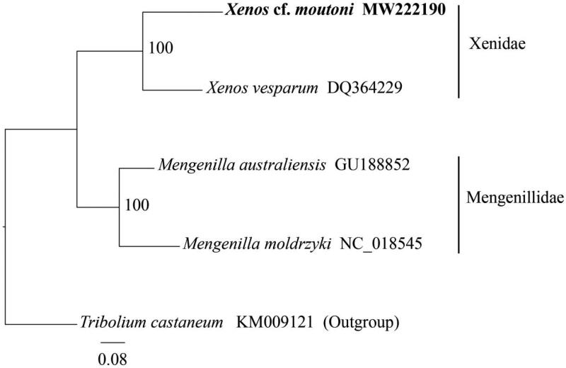 Figure 1.