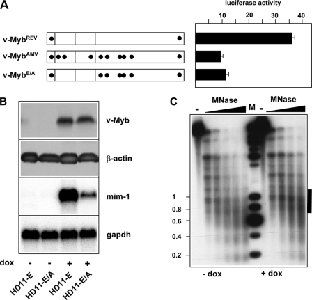 FIGURE 7.