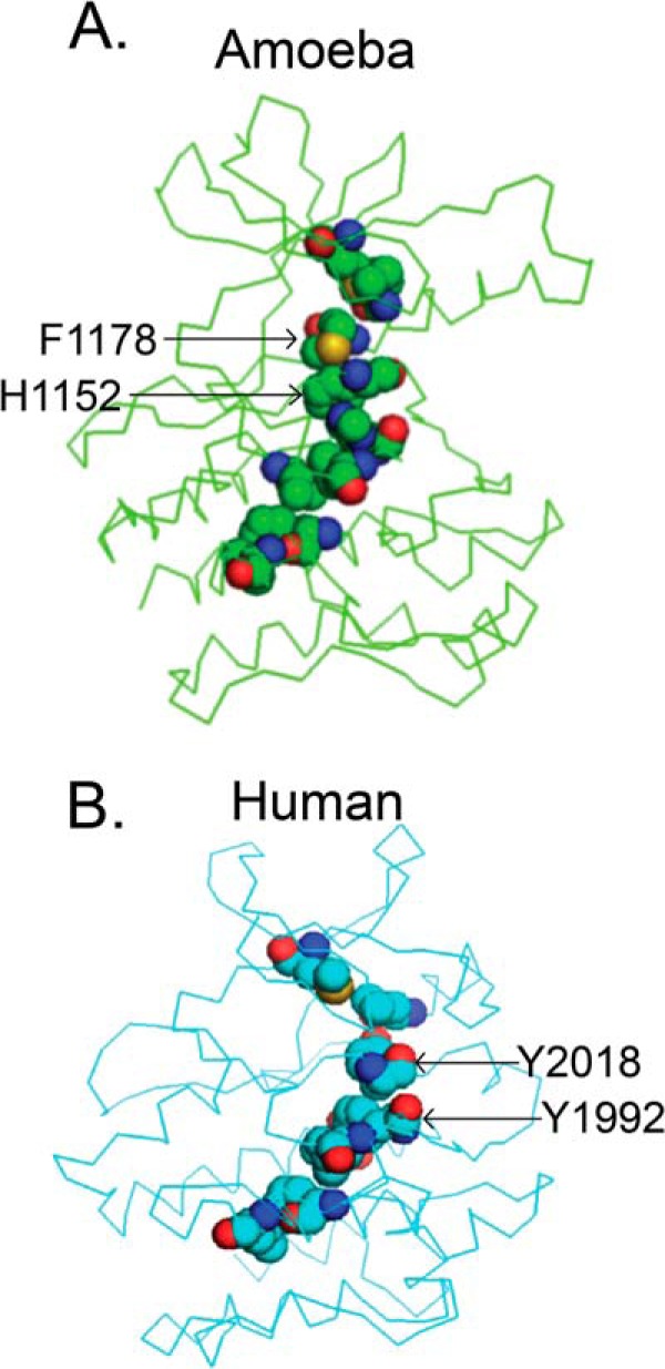 FIGURE 10.