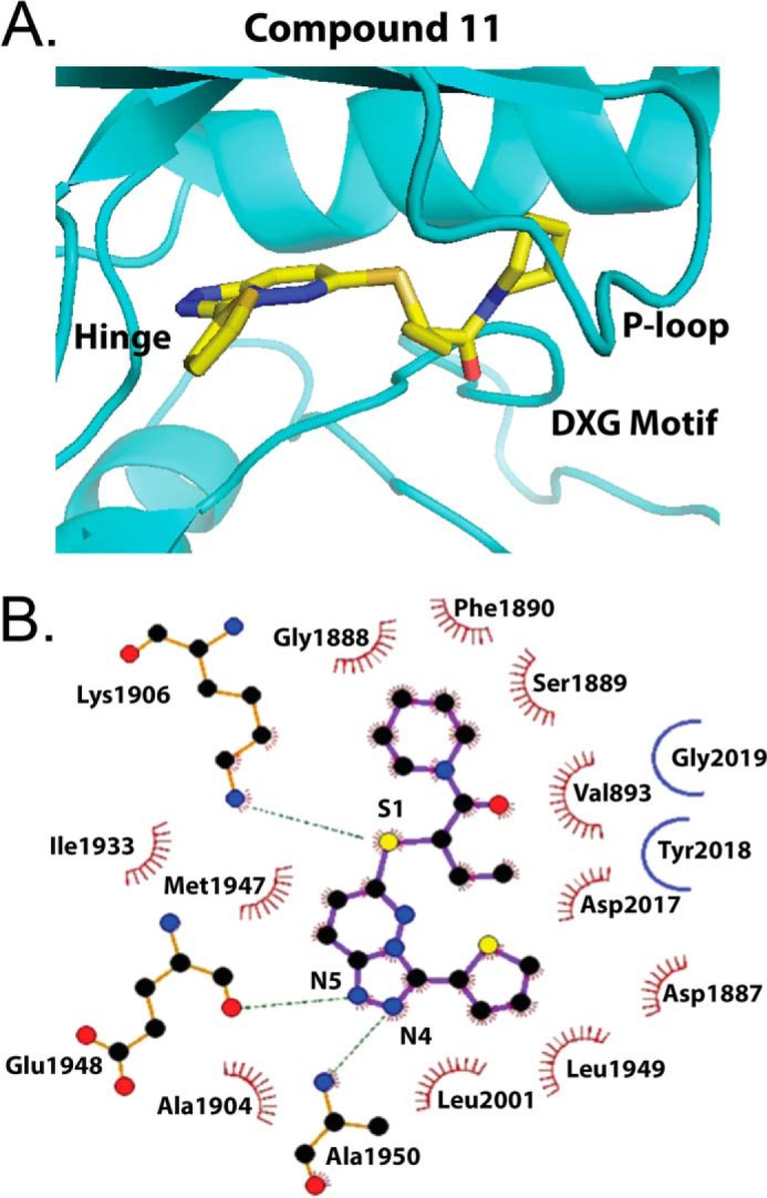 FIGURE 4.