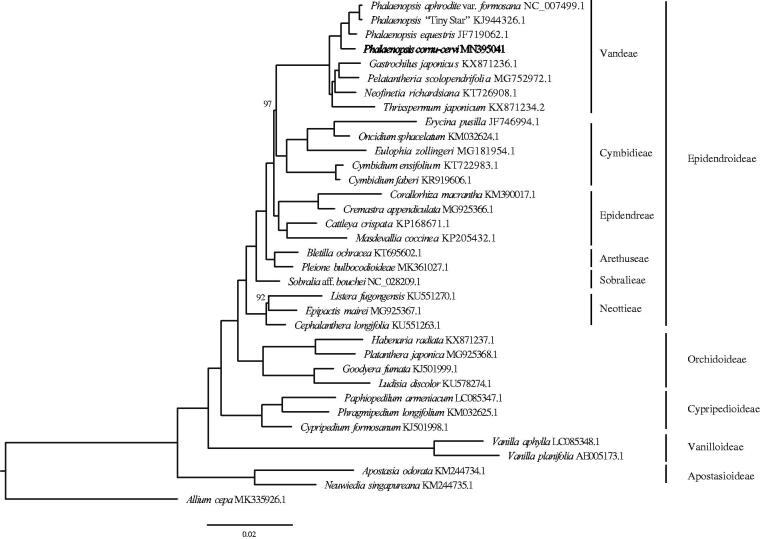 Figure 1.