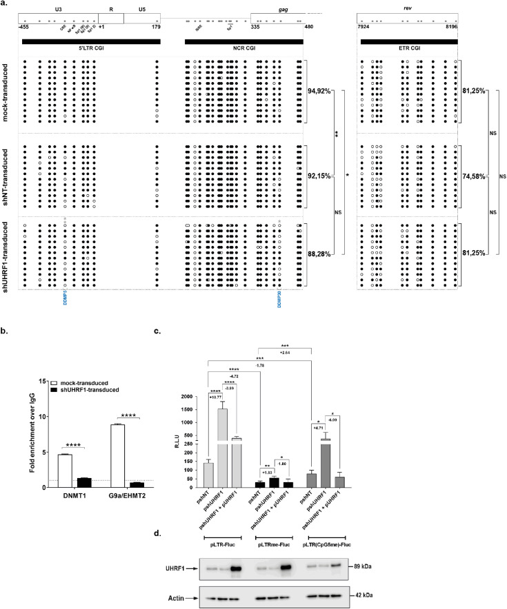 Figure4