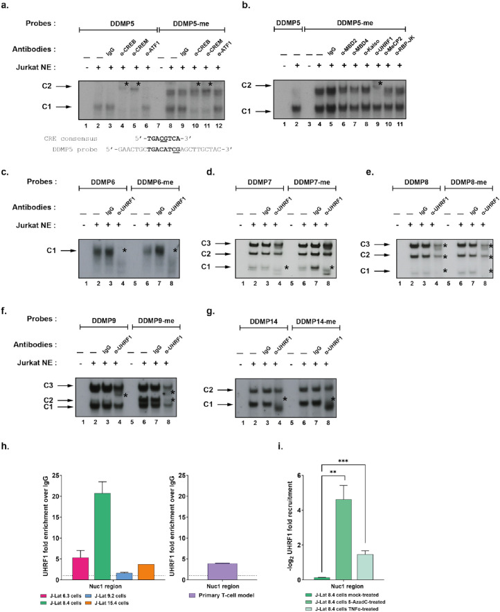 Figure2