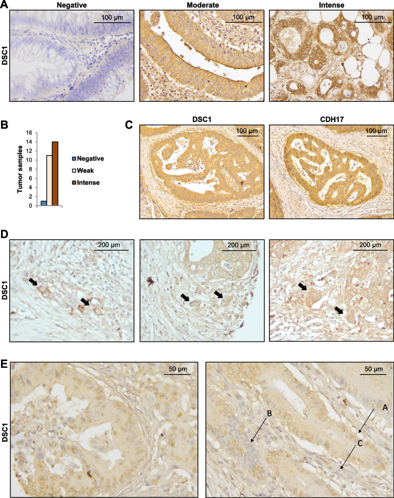 Fig. 6