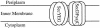 Fig 2.