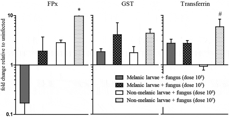 Figure 5.