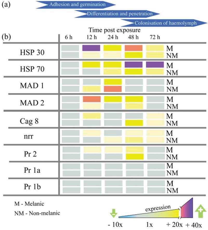 Figure 6.