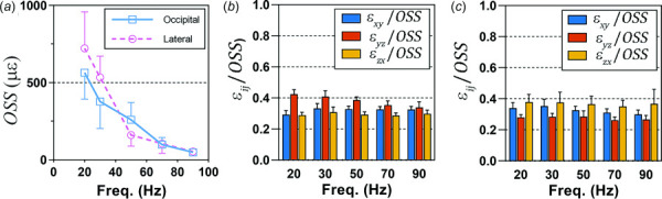 (a) Mean octahedral shear strain (OSS) for occipital excitation and lateral excitation at each frequency. Mean amplitudes of each shear strain component, |εij| normalized by mean OSS for occipital excitation (b) and lateral excitation (c). Error bars indicate one standard deviation. N = 16 participants for each excitation direction.