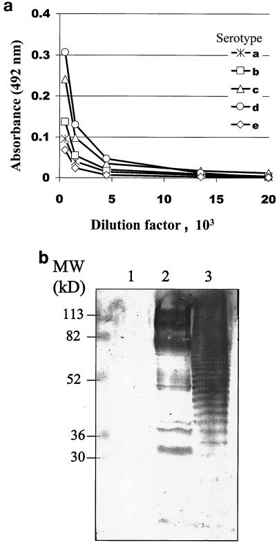 FIG. 5.