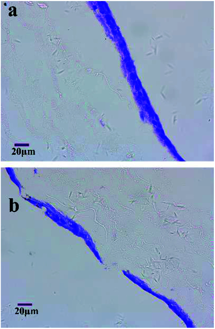 Fig. 9