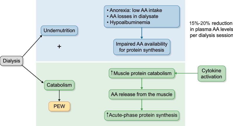 FIGURE 1: