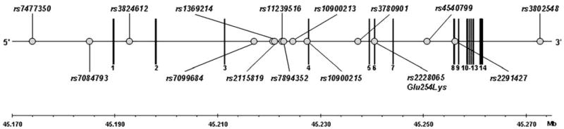 Fig. 1