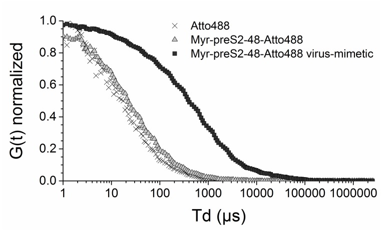 Figure 1—figure supplement 1.