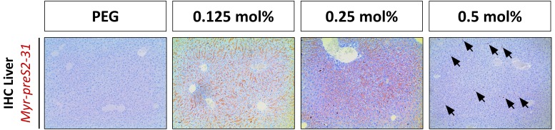 Figure 5—figure supplement 7.