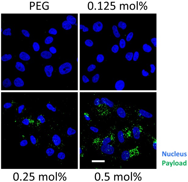 Figure 2—figure supplement 5.