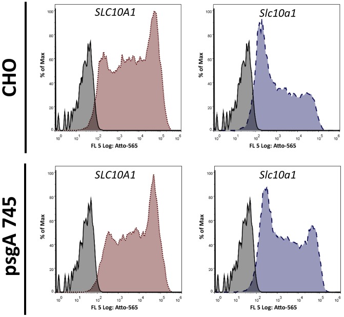 Figure 2—figure supplement 3.