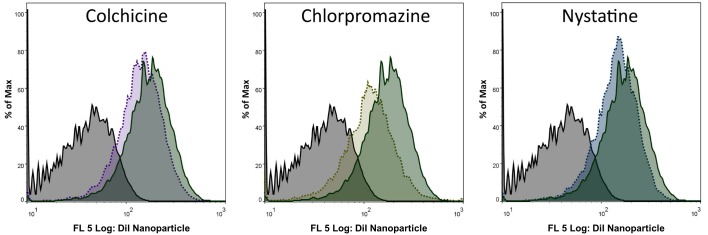 Figure 2—figure supplement 1.