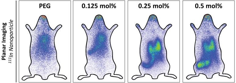 Figure 5—figure supplement 1.