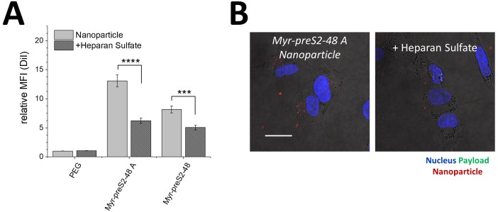 Figure 2—figure supplement 4.