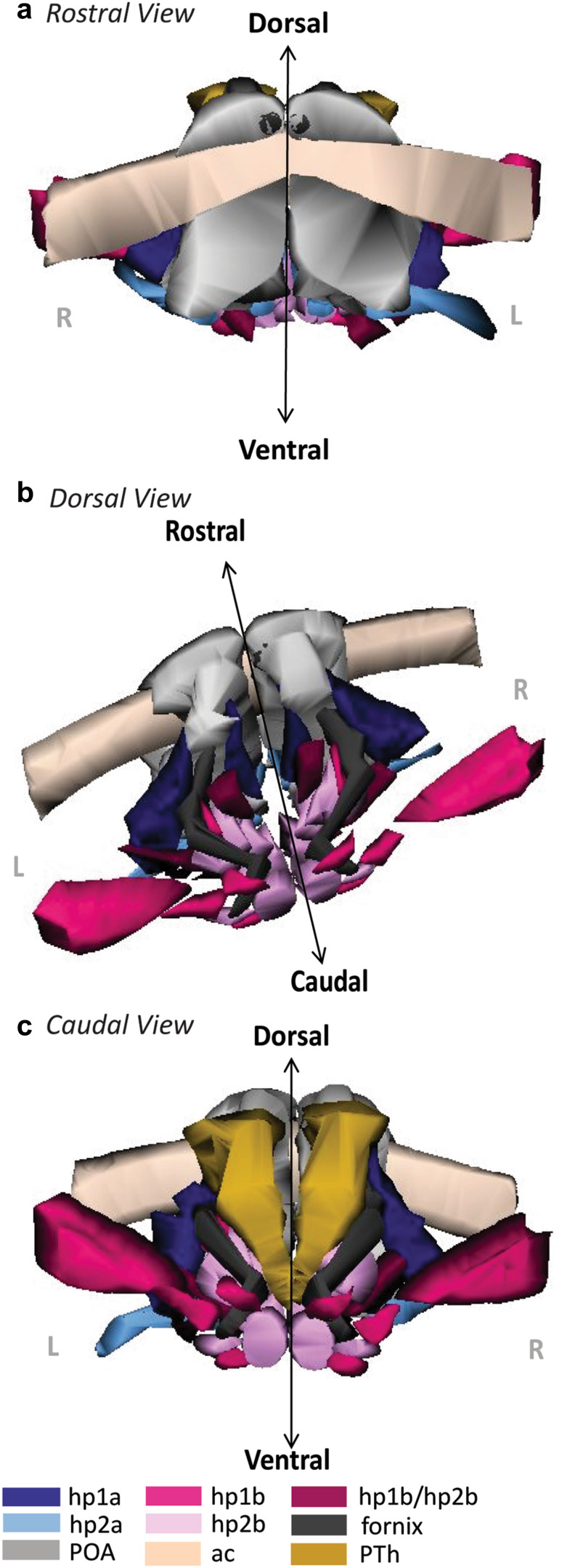 Fig. 8