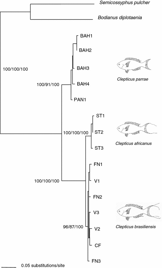 Fig. 2