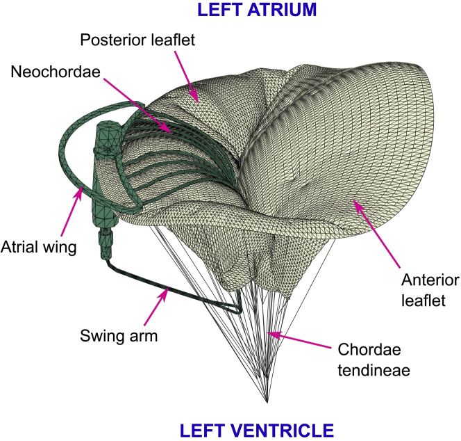 Figure 5