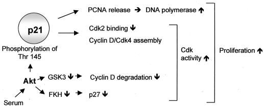 FIG. 10