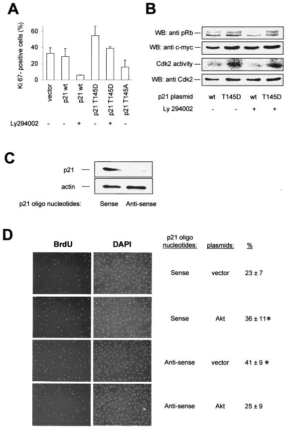 FIG. 9