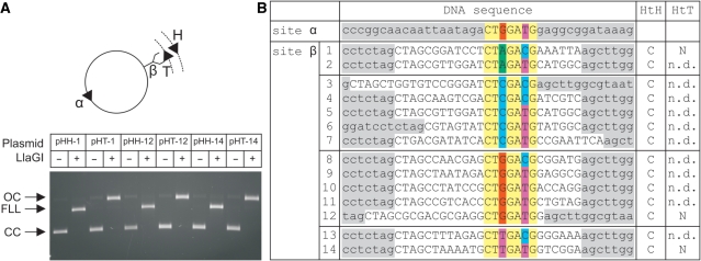 Figure 3.