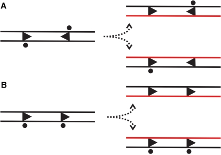 Figure 8.