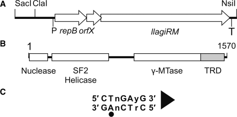 Figure 1.