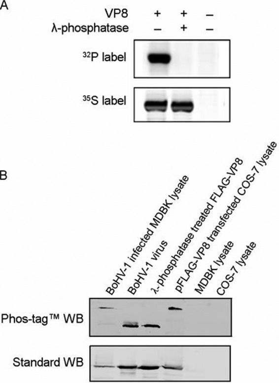 FIG 1