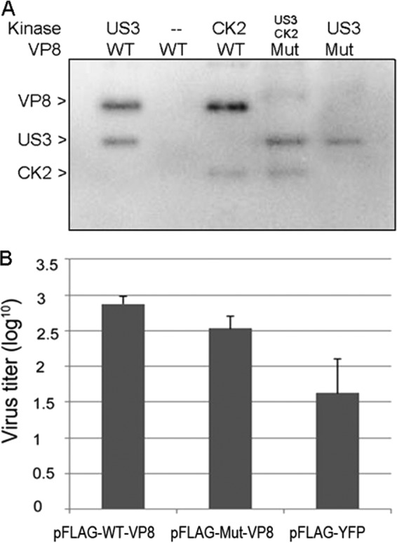 FIG 5